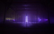 Laser forest + Video
