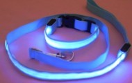 Dog collar and leash with Led-backlit