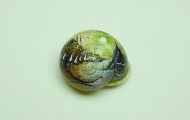 Miniature paintings