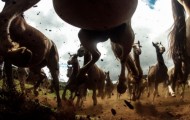 The competition National Geographic Traveler Photo Contest