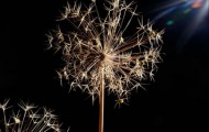 Night photos Project