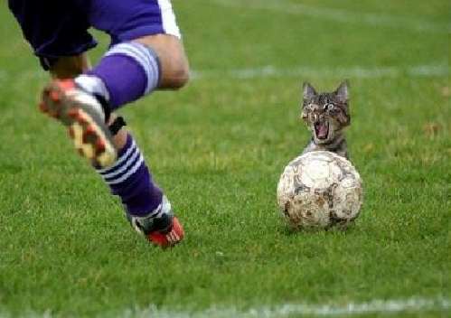 soccer mood_05