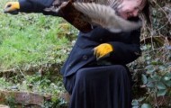 Funny pictures Animals against women