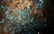Curious Fluorescent Caves