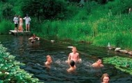 15 Natural swimming pools you wish were in your backyard