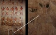 UFOs and Visitors from Outer Space