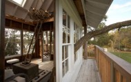 People designing a beautiful tree house