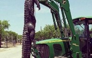 18-year-old boy killed a giant alligator
