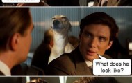There?s a dog behind you