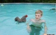 Funny WTF pictures with no sense
