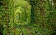 Natural Place, Tunnel of Love