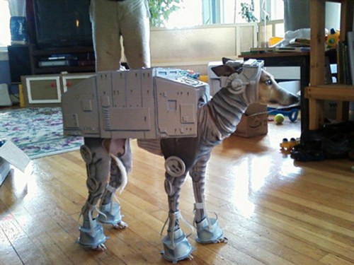 halloween costumes