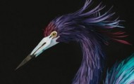 The amazing works of paper