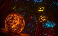 Exhibition pumpkin lanterns