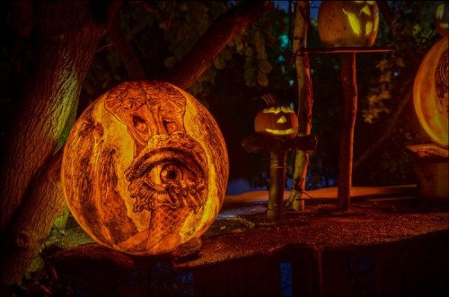 amazing pumpkin lanterns