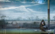 How do animals live in zoos?