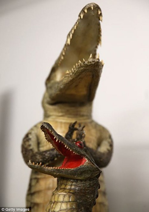 Creepy things