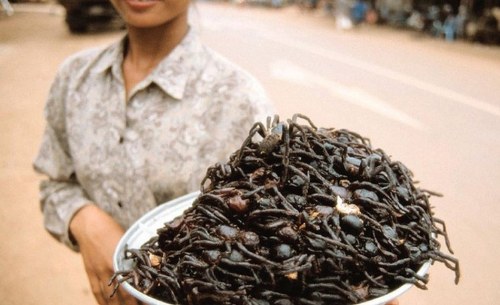 delicacies of insects