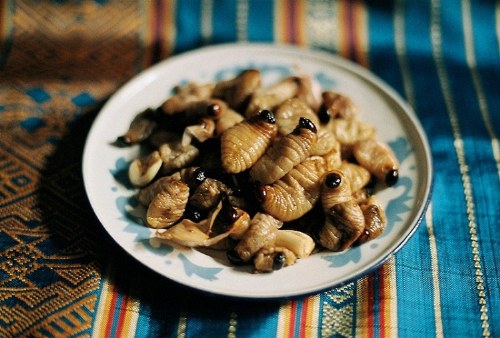 delicacies of insects