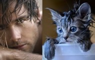 Funny pics cat and human