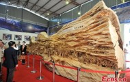 The longest sculpture carved from wood