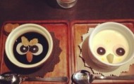 The Owl Cafe: Japanese cafe for lovers of owls