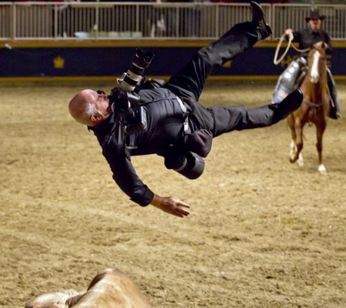 flew up into the air