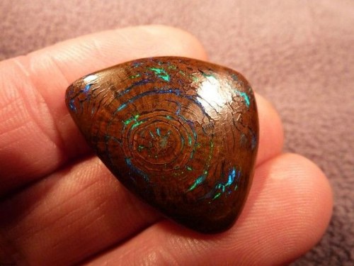 rare woody opal