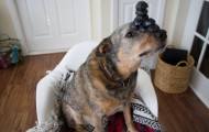 Jack: master balancing