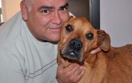 Dog rescue from starvation