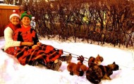 Funny pictures of christmas
