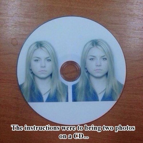 funny pictures