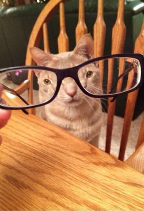 curious and weirdest pictures