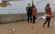 Another proof omnivorous Chinese