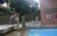 Photos taken at the right moment #2