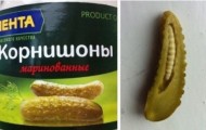 Terrible discovery bank pickles