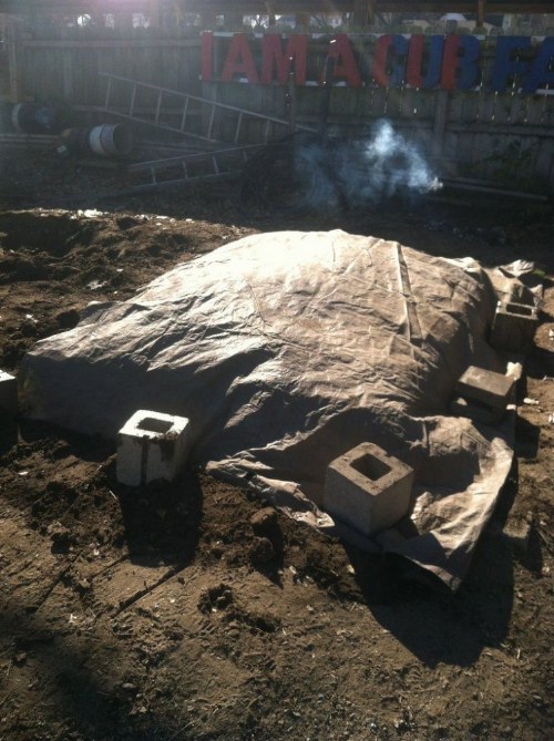 cooking a turkey