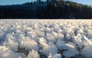 Unusual ice flowers