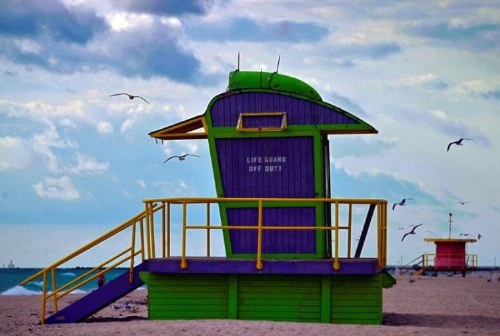 miami lifeguards