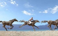 Impressive wooden horses