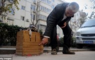 Amazing 400-pound shoes