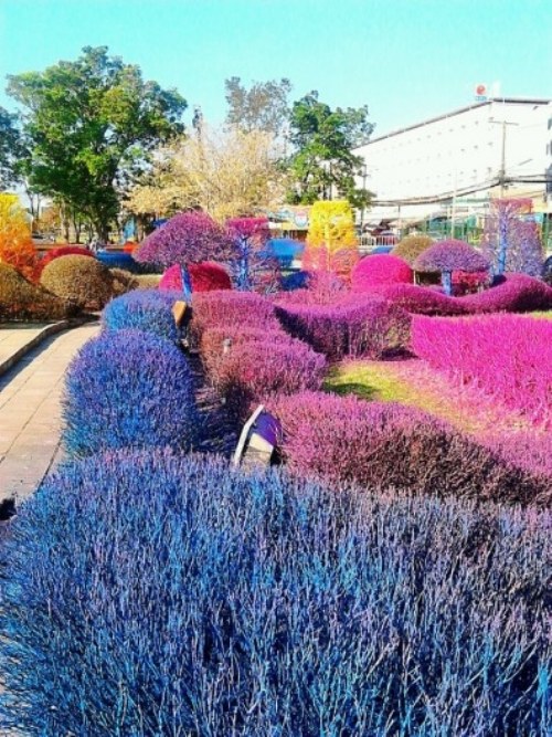 rangsit university