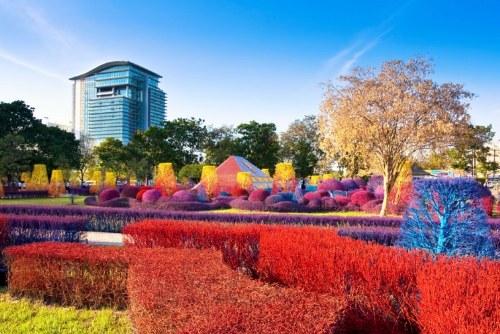 rangsit university