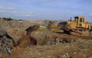 The whole village went to bury the sperm whale