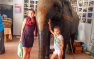 Unusual business on elephant dung