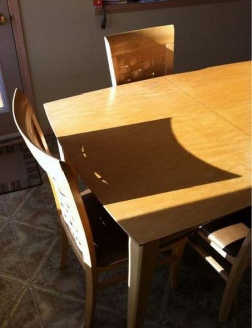 optical puzzle
