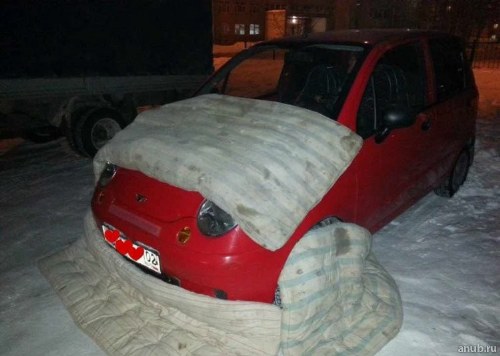 warm-car-oddities-2