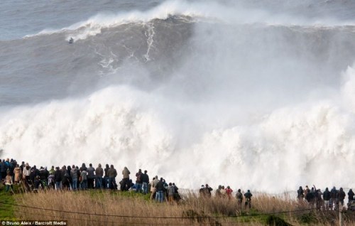 24 meter wave