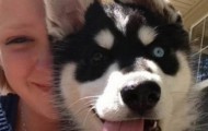 Funny “defective” pictures of dogs who behave very strangely