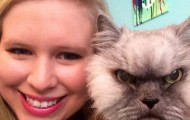 Angry cat killing at glance